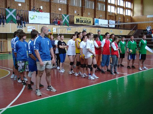 volejbalova liga